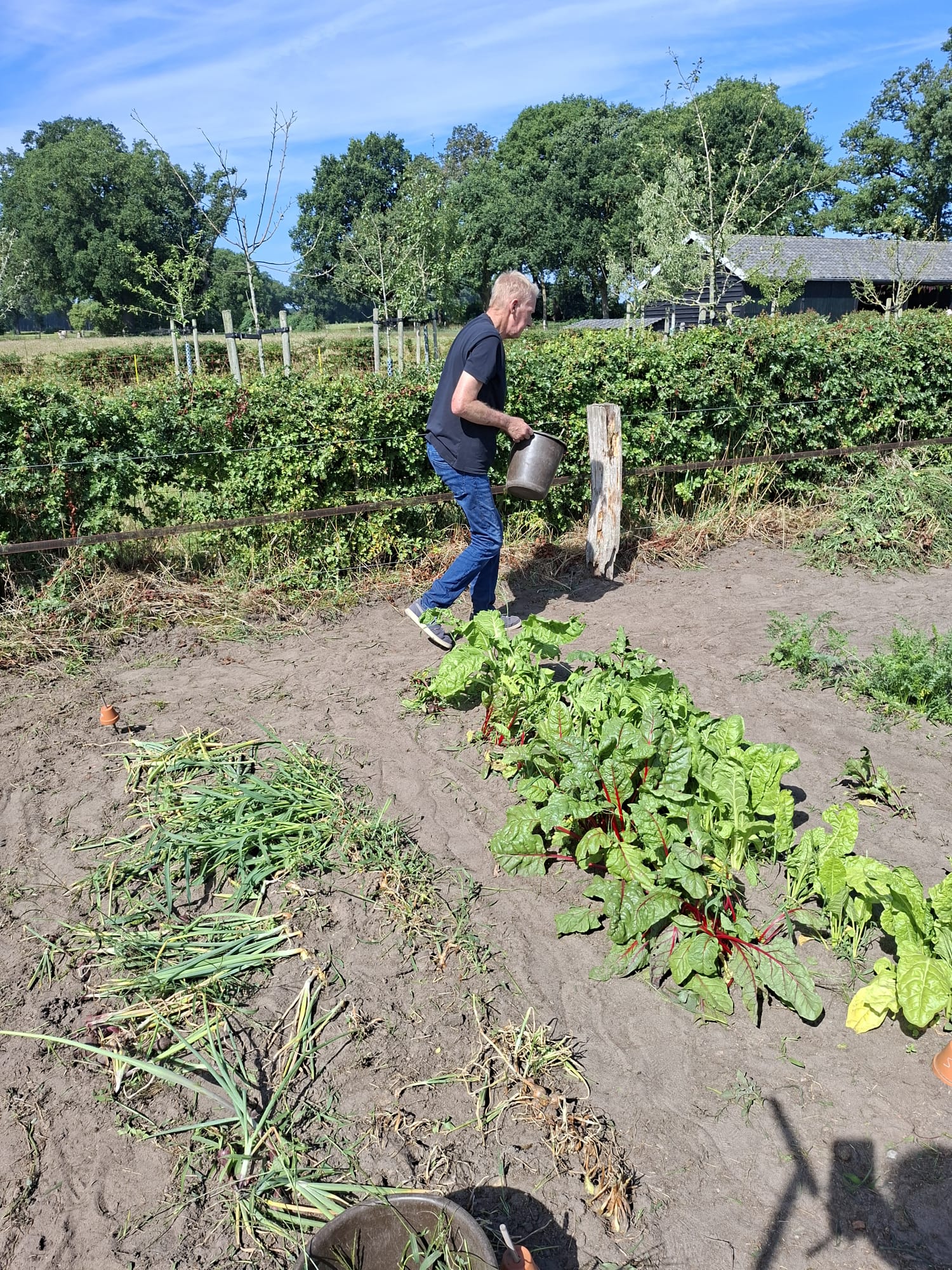 Buitenleven op HdK