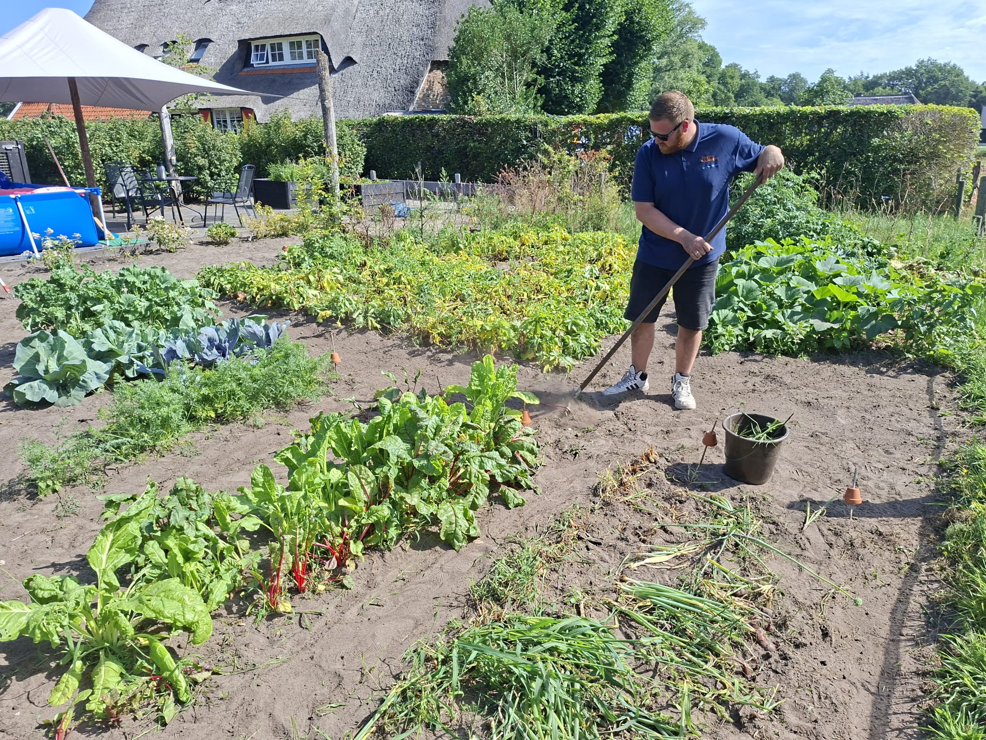 Dagbesteding