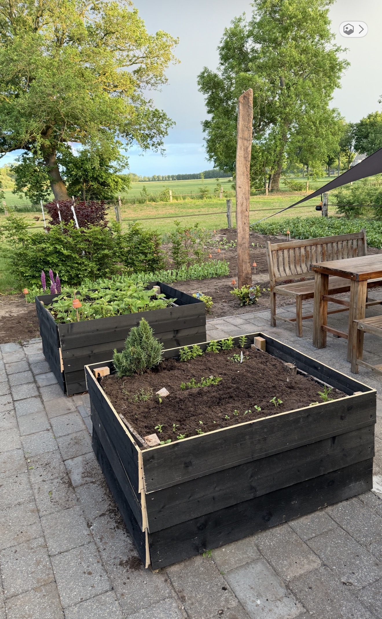 Moestuin-kruiden HdK
